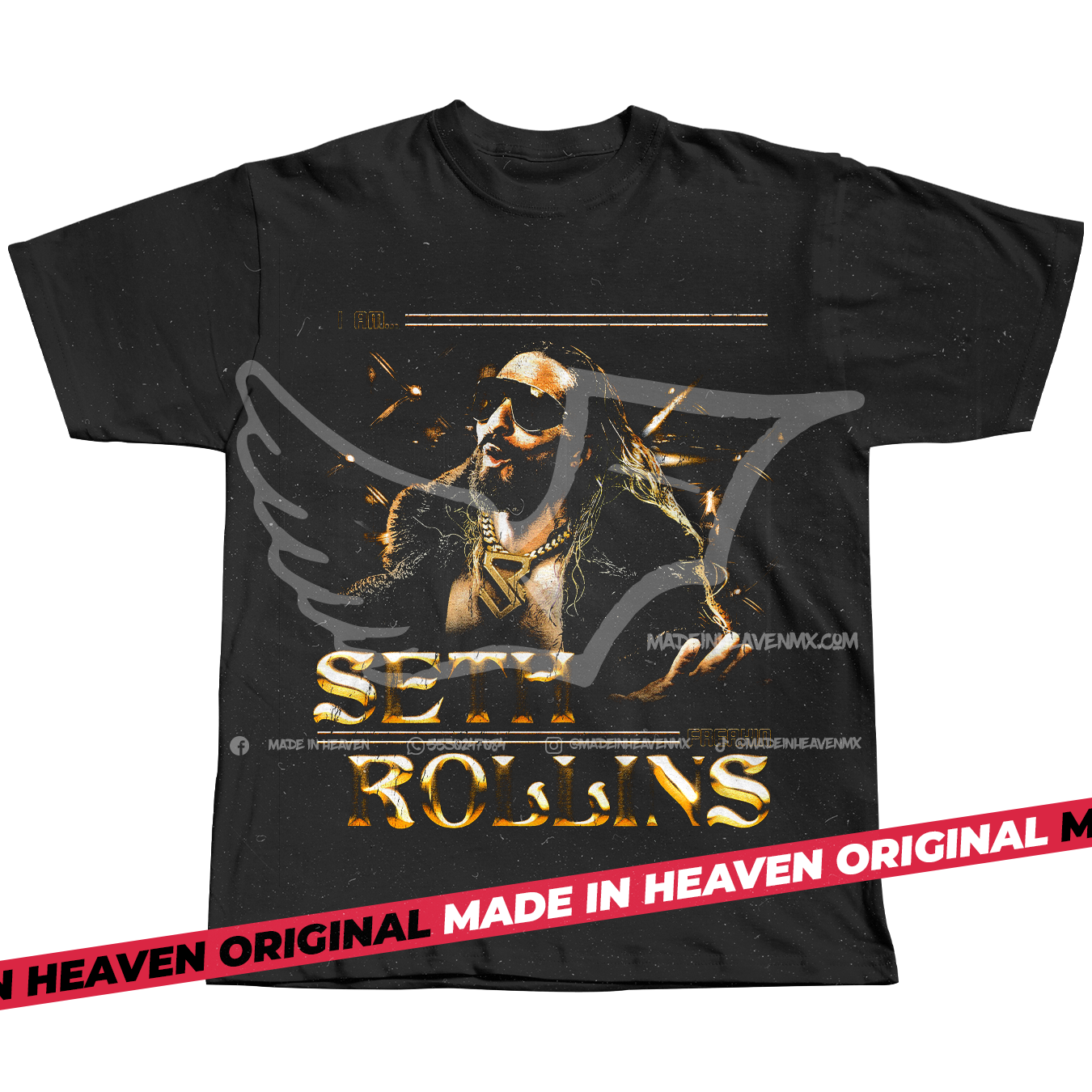 SETH FREAKIN ROLLINS VISIONARY
