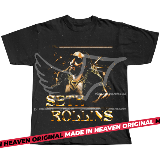 SETH FREAKIN ROLLINS VISIONARY